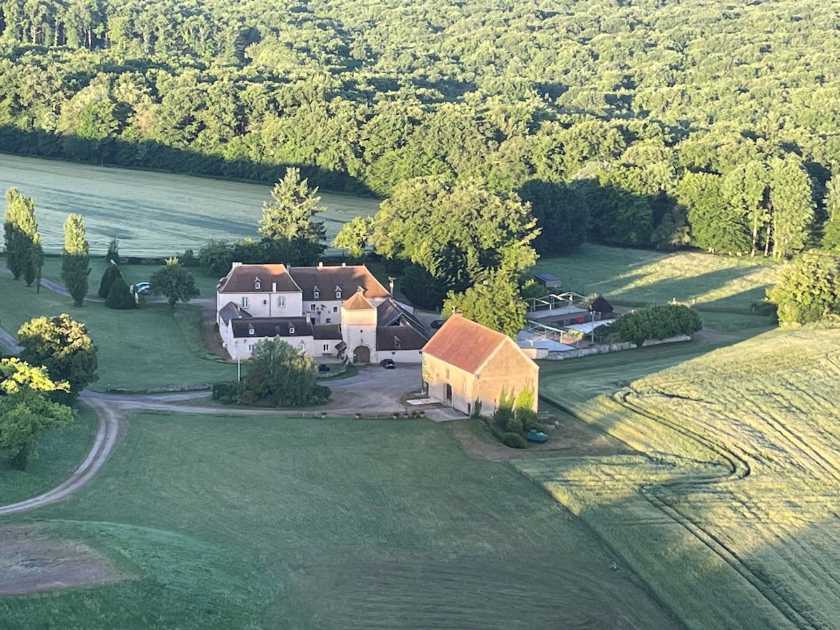 Image de profil de l’hôte