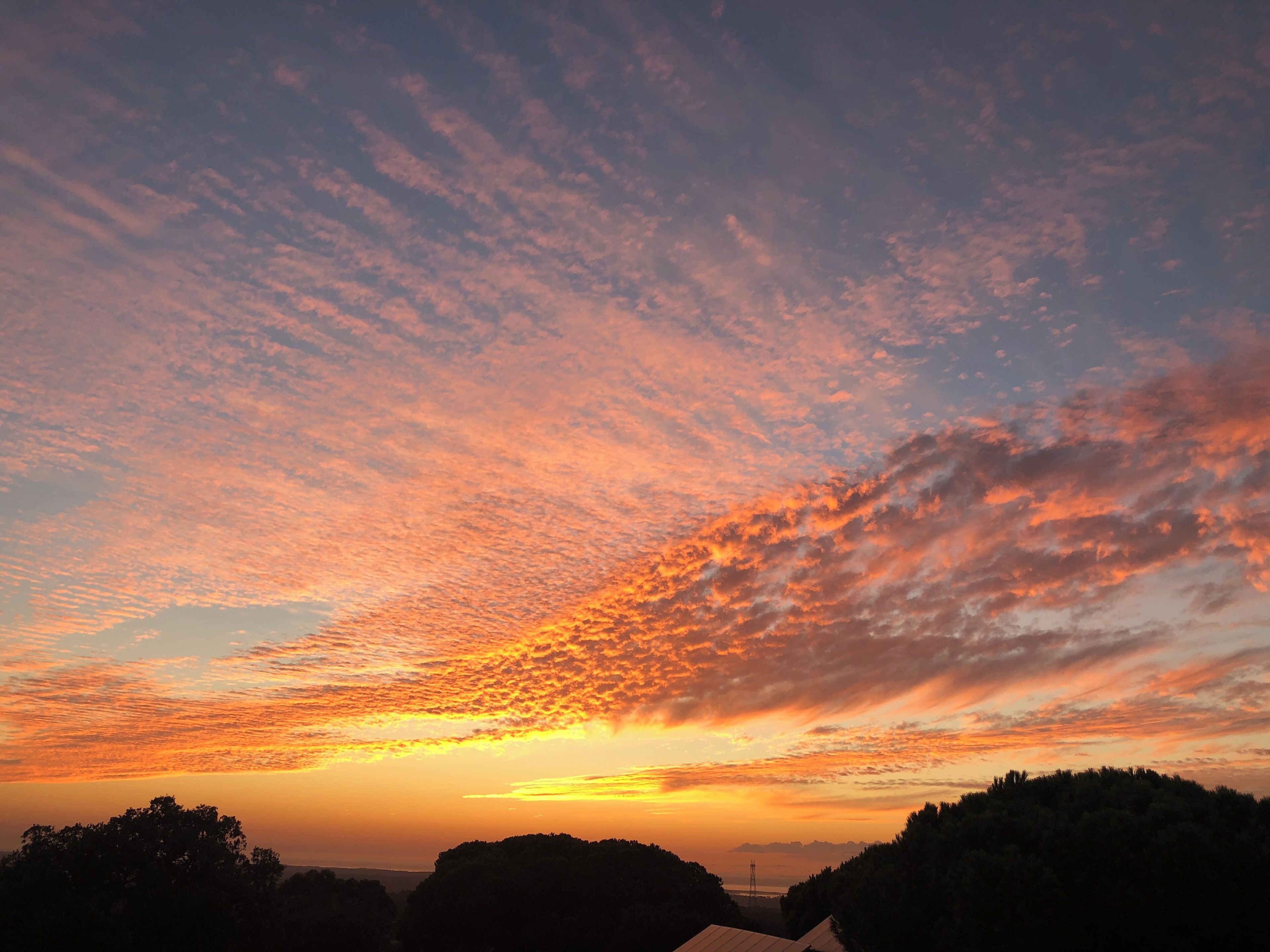 Tramonto su un paesaggio collinare con sagome di alberi e una struttura in lontananza.
