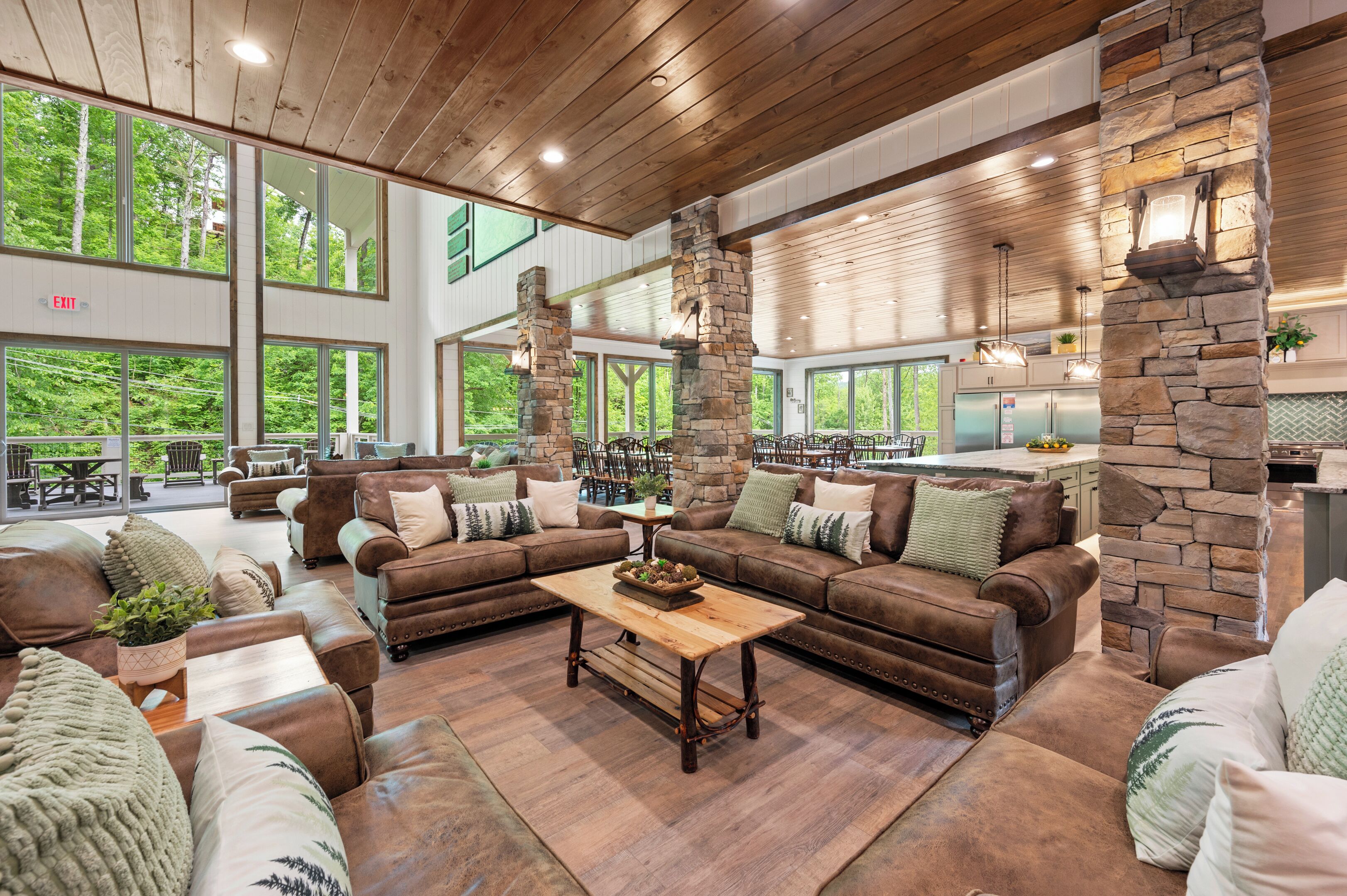 TV, fireplace, video games, DVD player