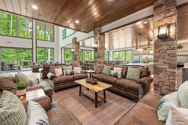 Televisión, chimenea, videojuegos y reproductor de DVD 