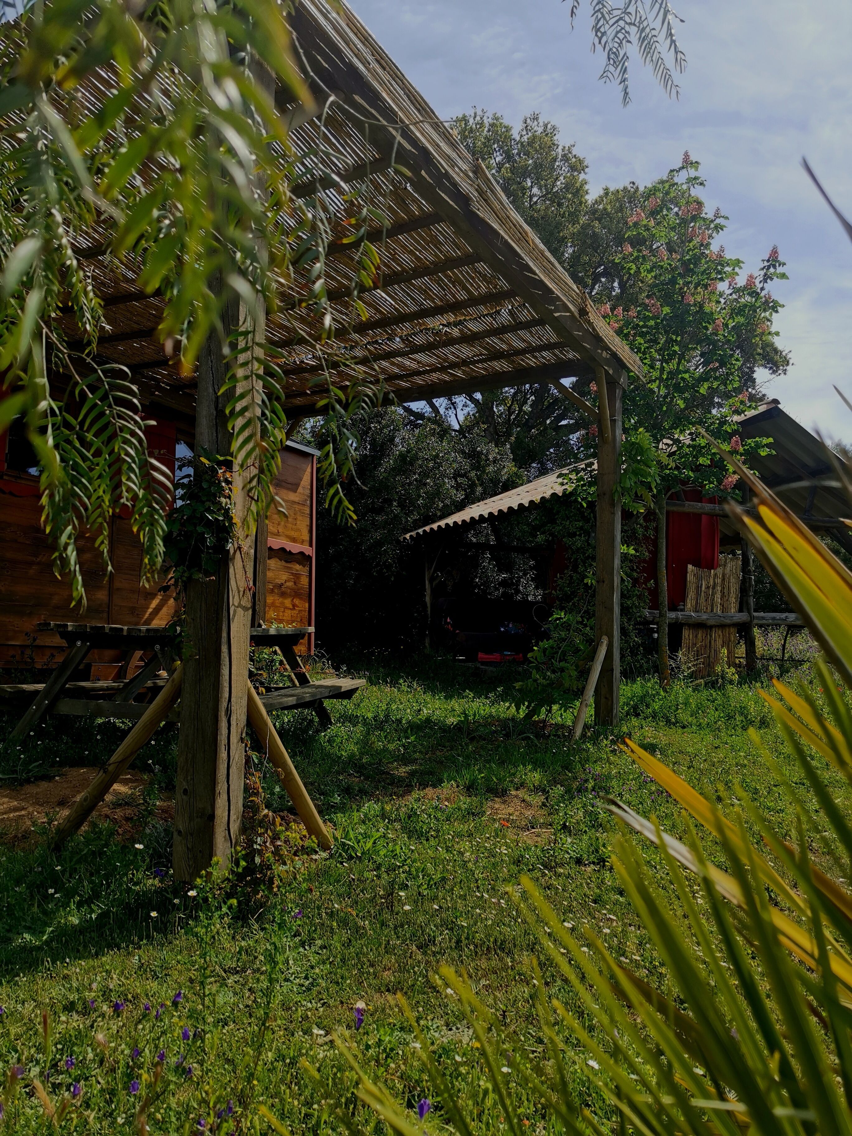 A rustic wooden cabin with a thatched roof, surrounded by lush greenery and a small garden.