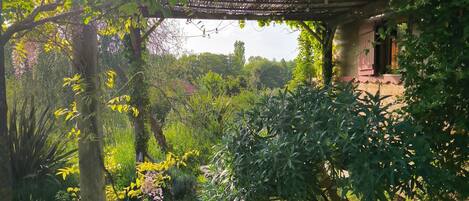 المنطقة المحيطة بالمنشأة