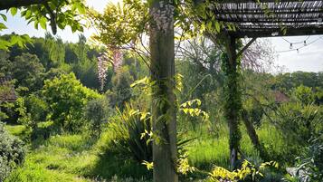 Ein Garten mit einer Pergola, üppigem Grün und verschiedenen Pflanzen.