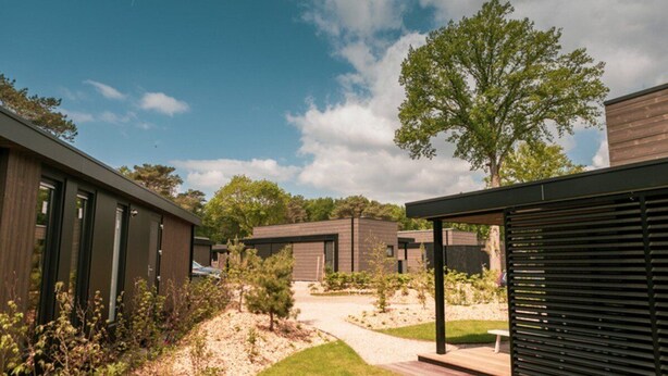 A modern building with a covered outdoor area, a gravel path, and a large tree.