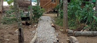 Welcome to Nepal Himalayan Paulownia Resort and enjoy with close to the nature