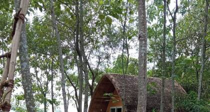 Welcome to Nepal Himalayan Paulownia Resort and enjoy with close to the nature