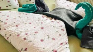 A bed with a floral-patterned pillow, a green blanket, and a black pillow. - Gerlosblick by Interhome (Zell am Ziller)