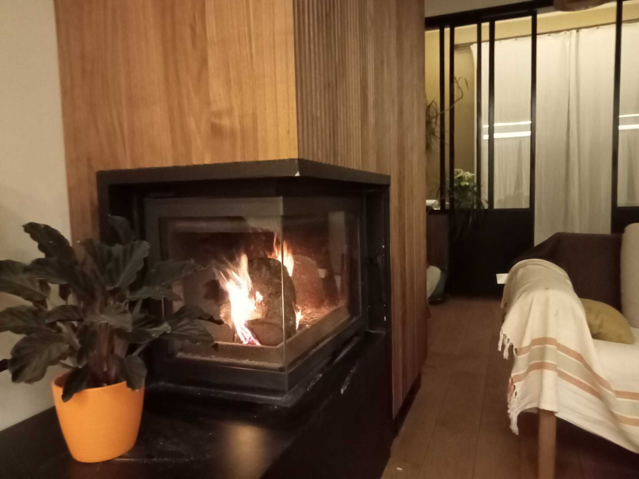 Un salon avec une cheminée, un canapé, une plante en pot et une fenêtre avec des rideaux.