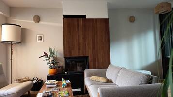 Fernseher, Kamin, Bücher, Musikbibliothek