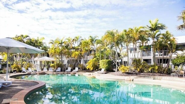 Zona de piscina con sillones de descanso y sombrillas, rodeada de palmeras y un edificio con balcones.