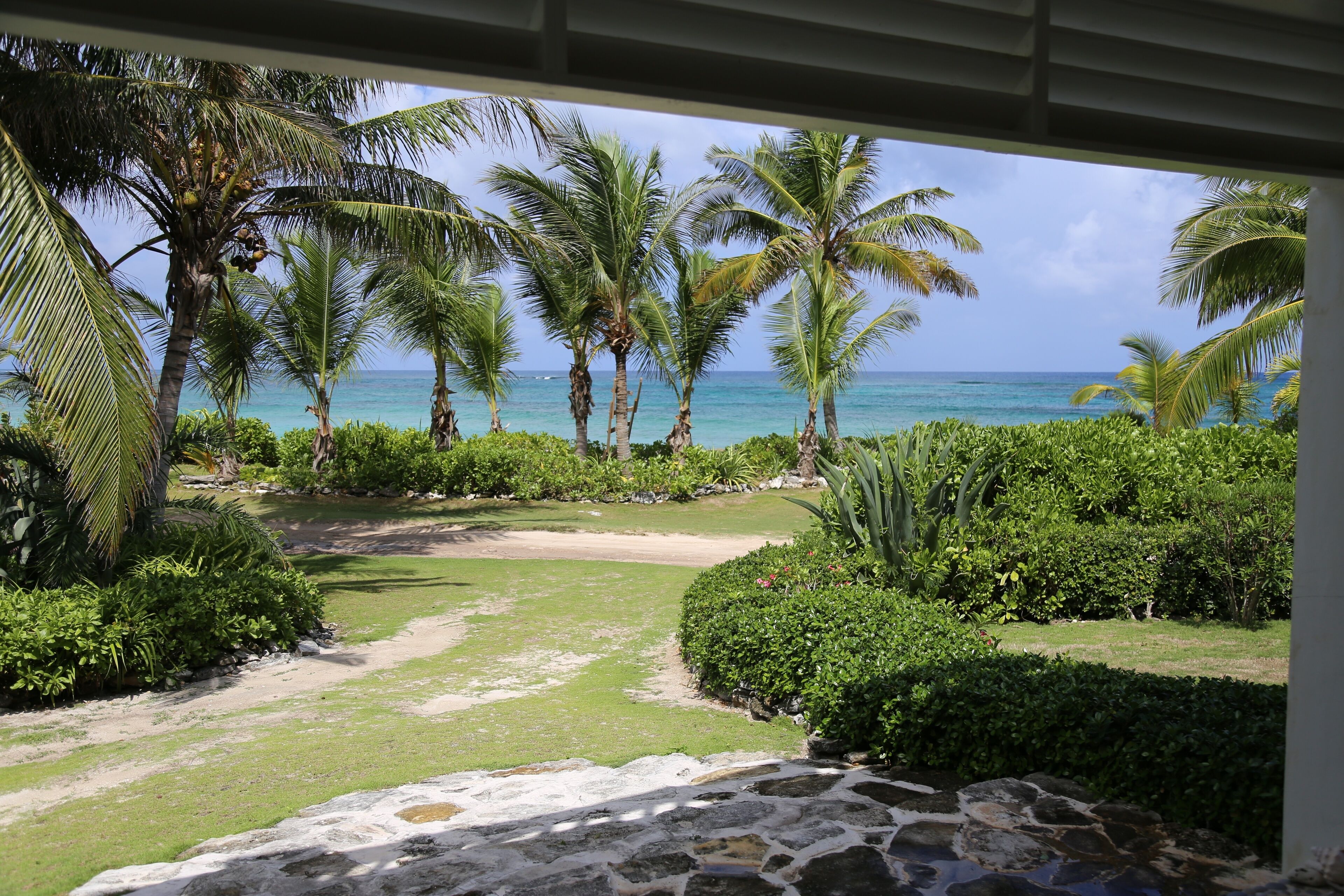 A tropical garden with palm trees and a view of the ocean.