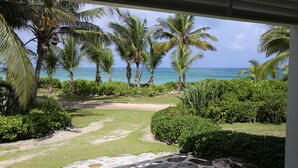 A tropical garden with palm trees and a view of the ocean.