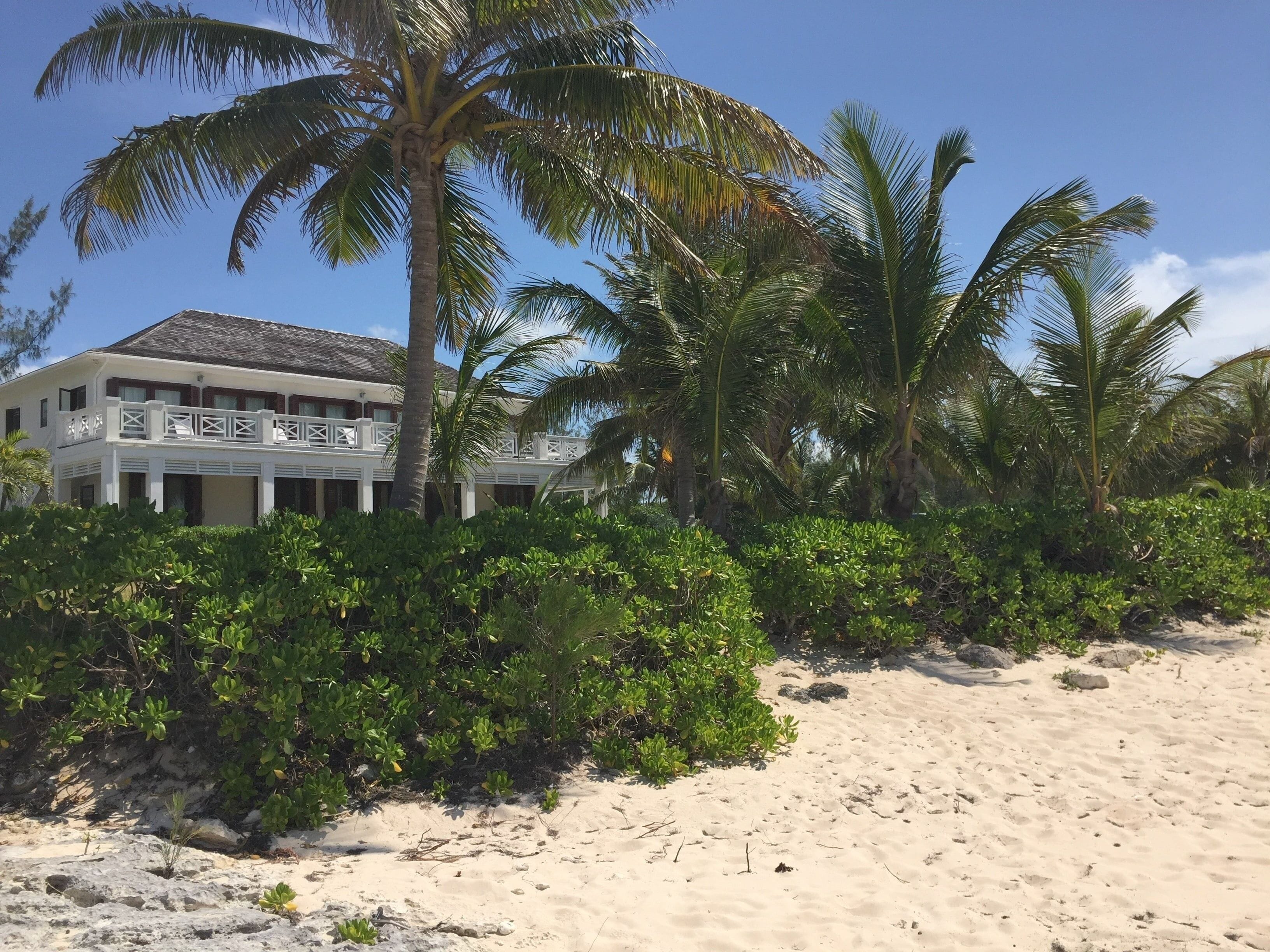 Une propriété située en bord de mer, avec un grand bâtiment, des palmiers et une végétation luxuriante.