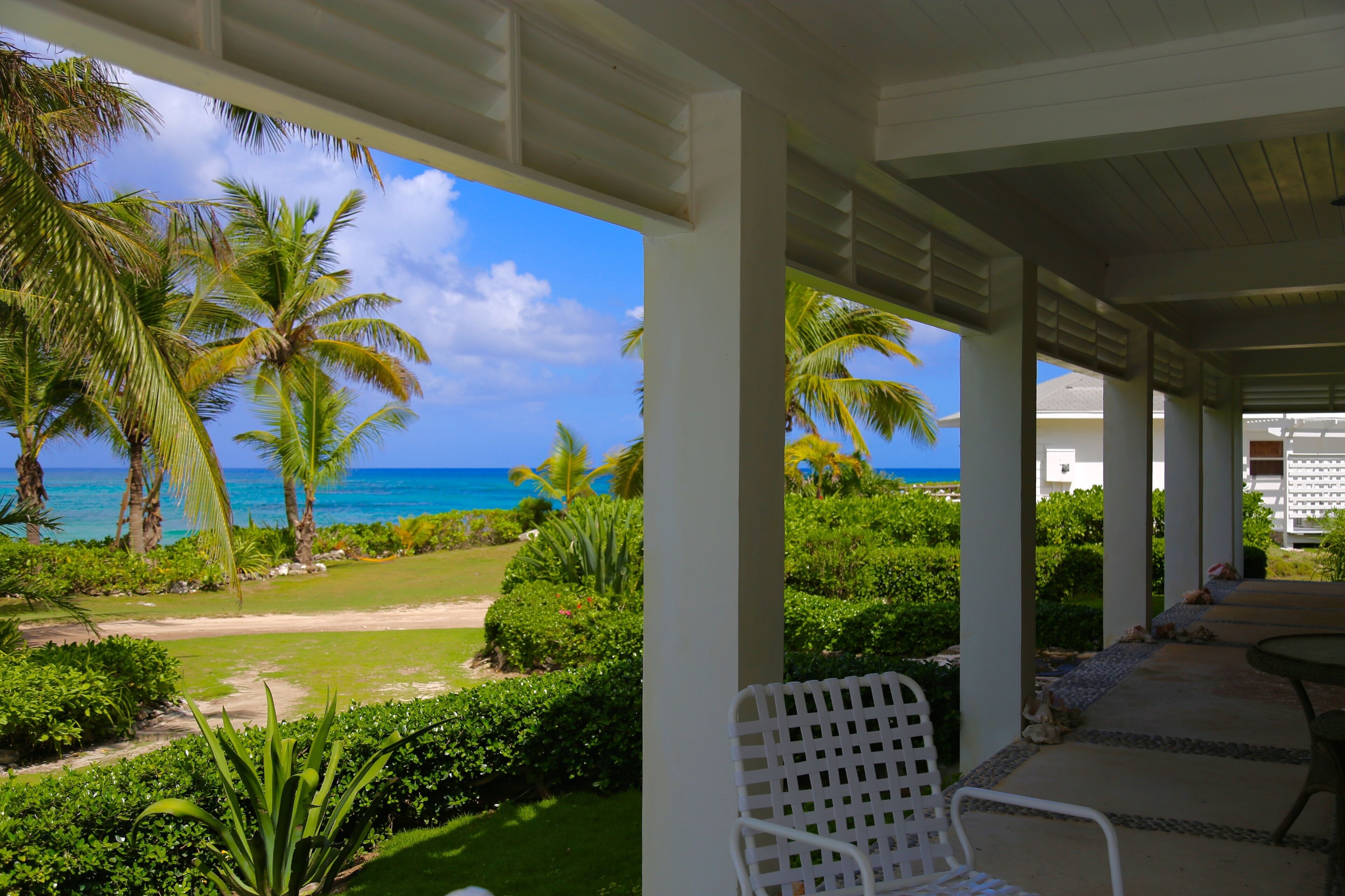 A covered outdoor area with a view of the ocean and palm trees.
