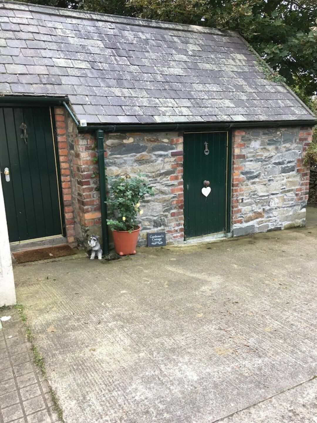 A stone building with a sloped roof, two green doors, and a small garden area with a potted plant.