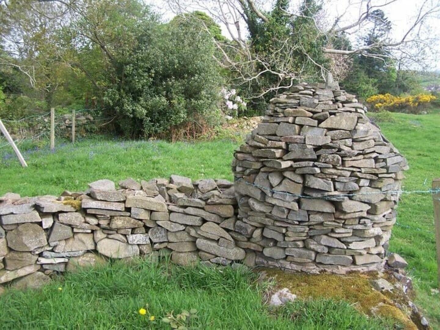 A stone wall in a rural setting.