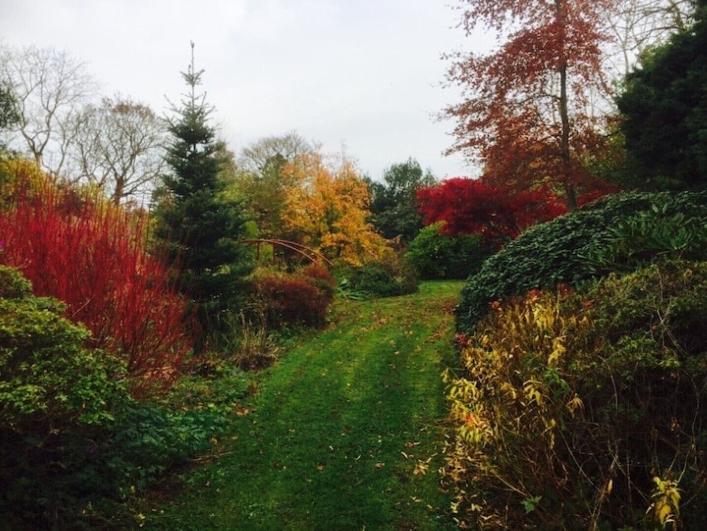 A pathway through a garden with various trees and shrubs.
