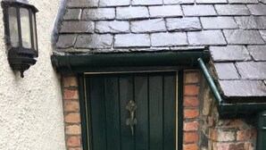 Une porte vert foncé ornée d’un heurtoir en laiton, un petit paillasson sur lequel est écrit « BIENVENUE », et un chien qui se montre timidement derrière la porte.