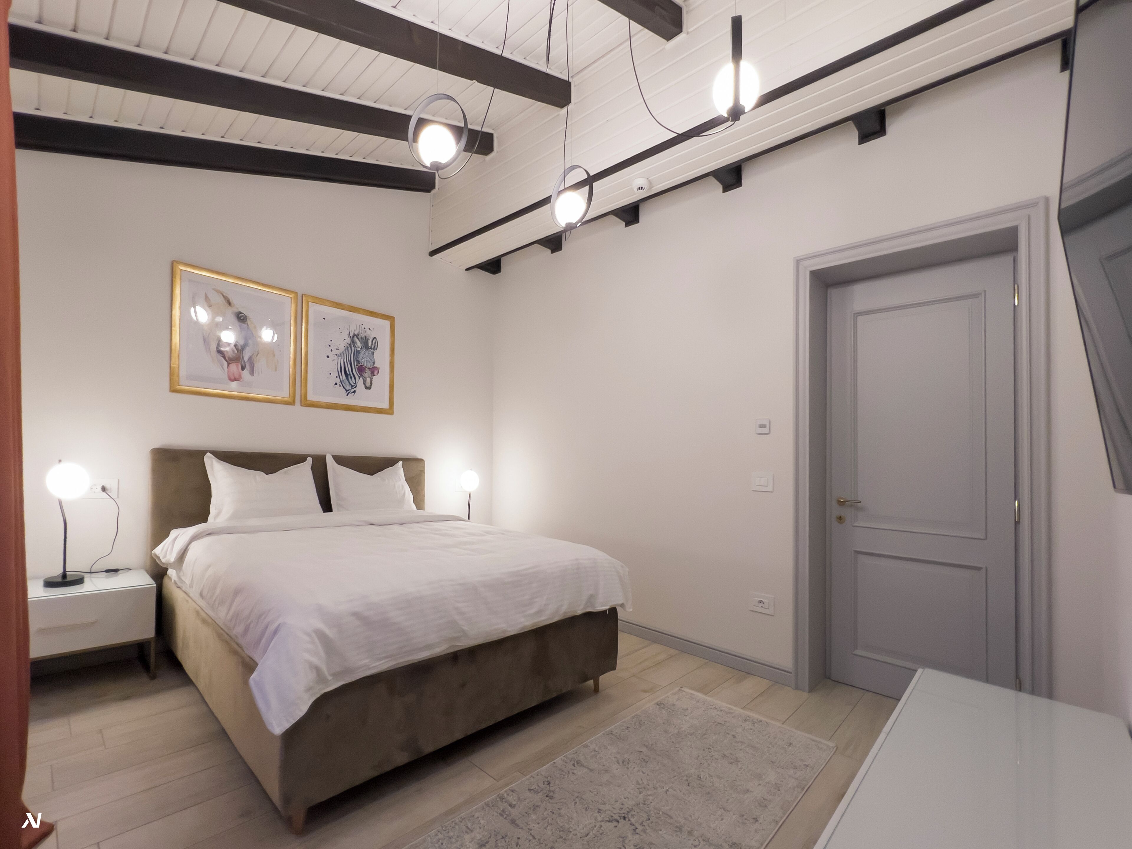 Luxury Apartment