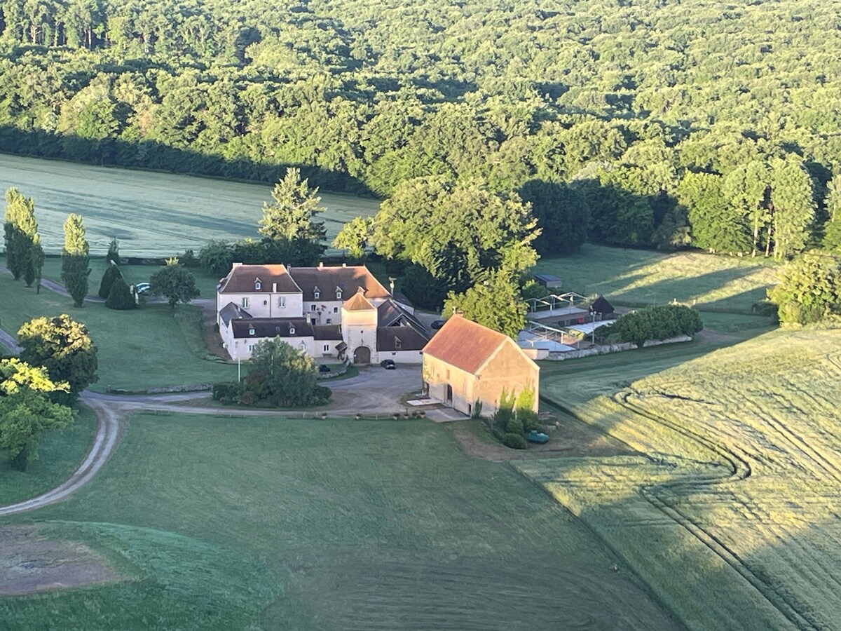 Image de profil de l’hôte