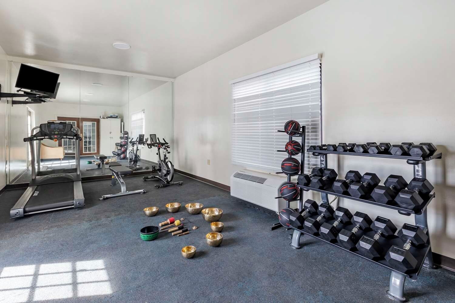 A gym with treadmills, stationary bikes, and a rack of dumbbells.