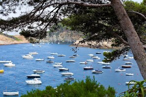 Marina - Cap Sa Sal Turquesa (terrace, sea views, direct access sea) (Begur)