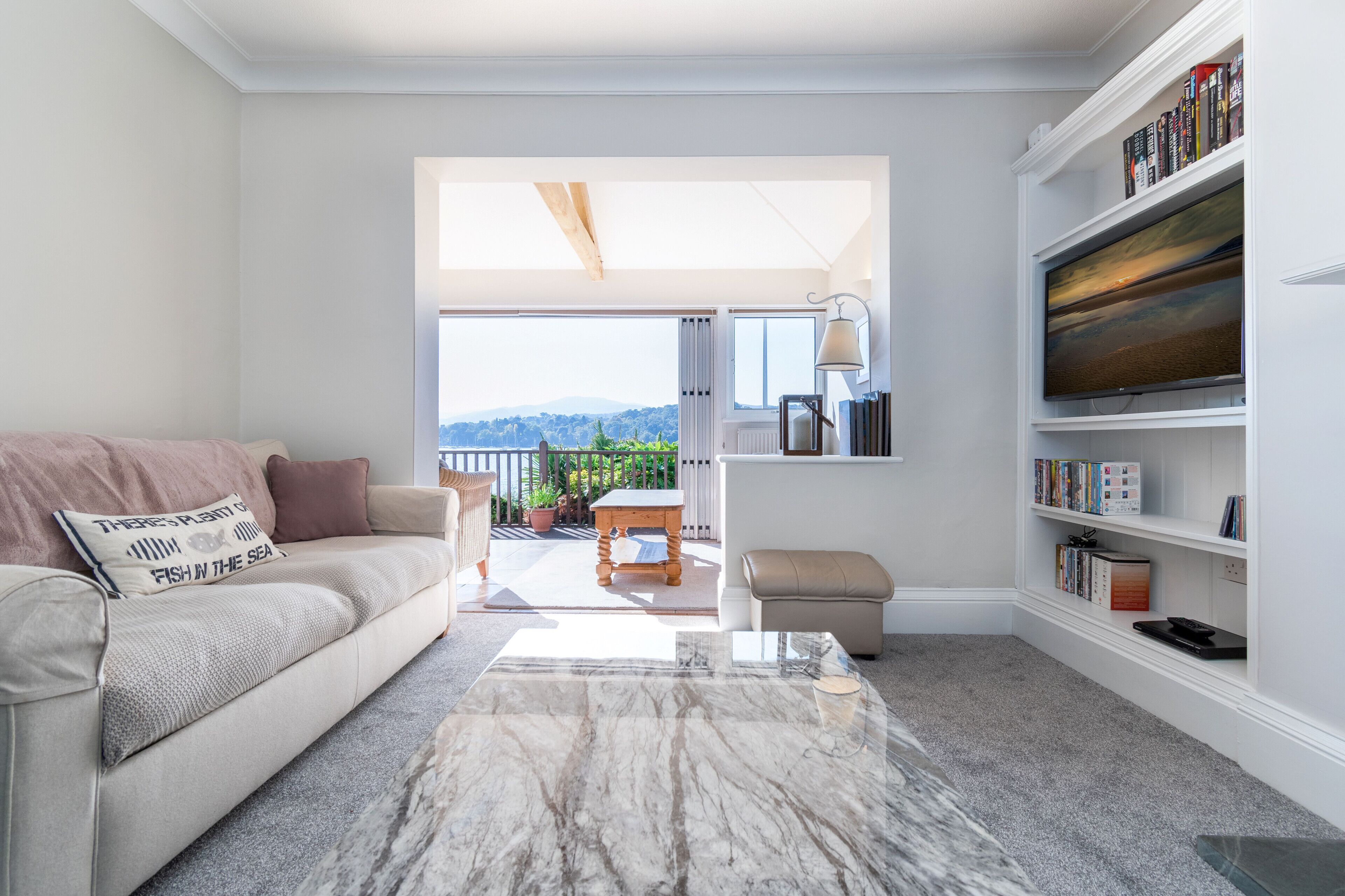 Smart-TV, DVD-Player, Bücher