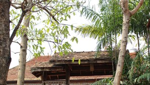 รูปภาพที่ไม่ได้จัดประเภท, 3 จาก 123, ปุ่ม