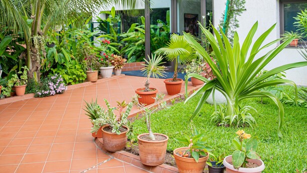 A courtyard with potted plants and a modern building with large windows. - CASA BIANCA (Accra)