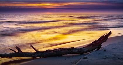 Comfortable holiday homes with terraces