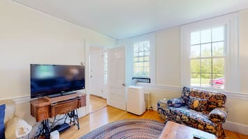 Télévision, cheminée, lecteur de DVD, livres