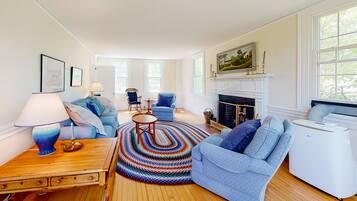 Télévision, cheminée, lecteur de DVD, livres