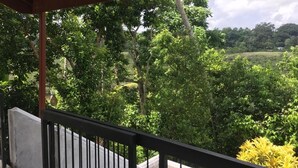 Un espace extérieur abrité offrant une vue sur un paysage verdoyant et luxuriant.