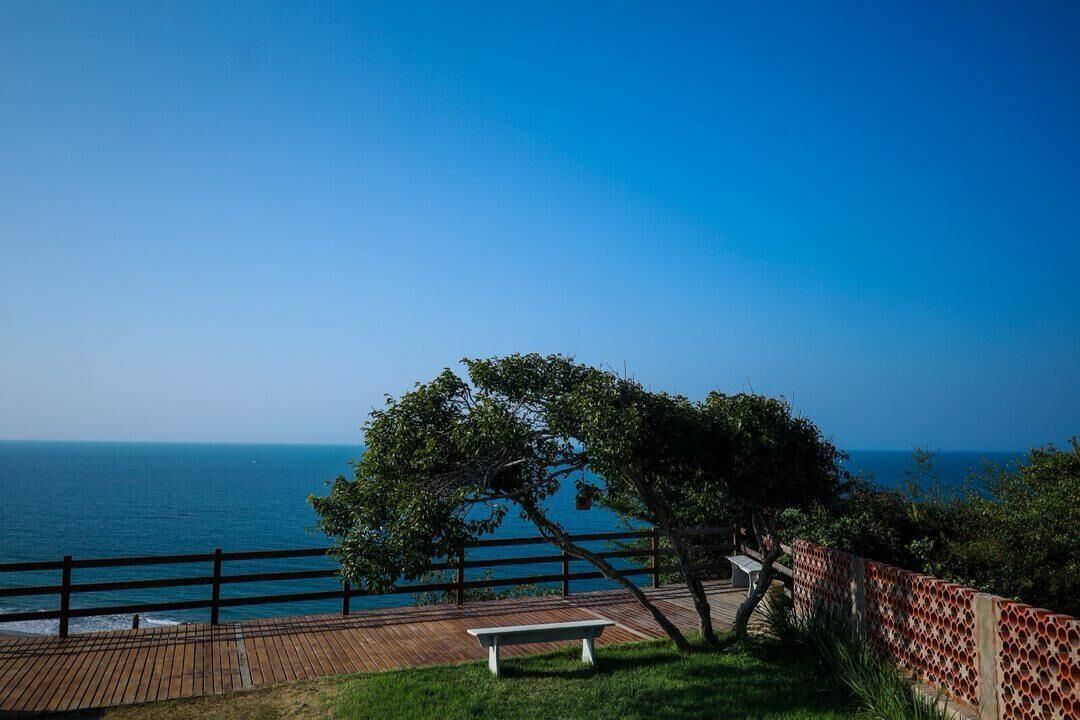 A wooden deck with a bench overlooking a coastal view.