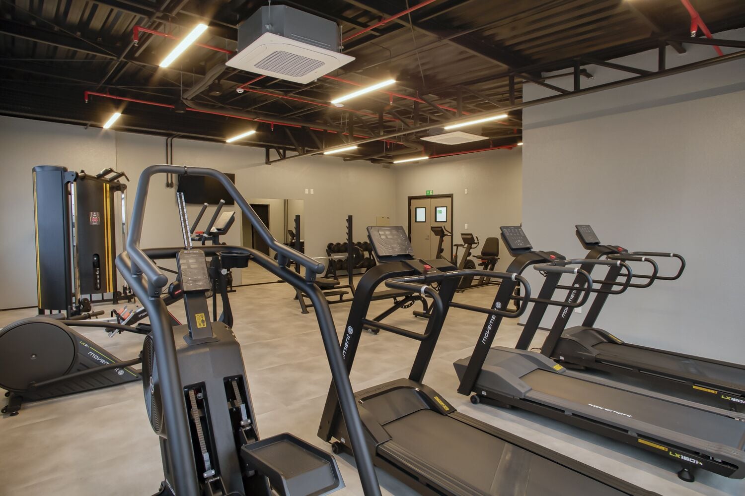 A gym with treadmills, weight machines, and a mirror.