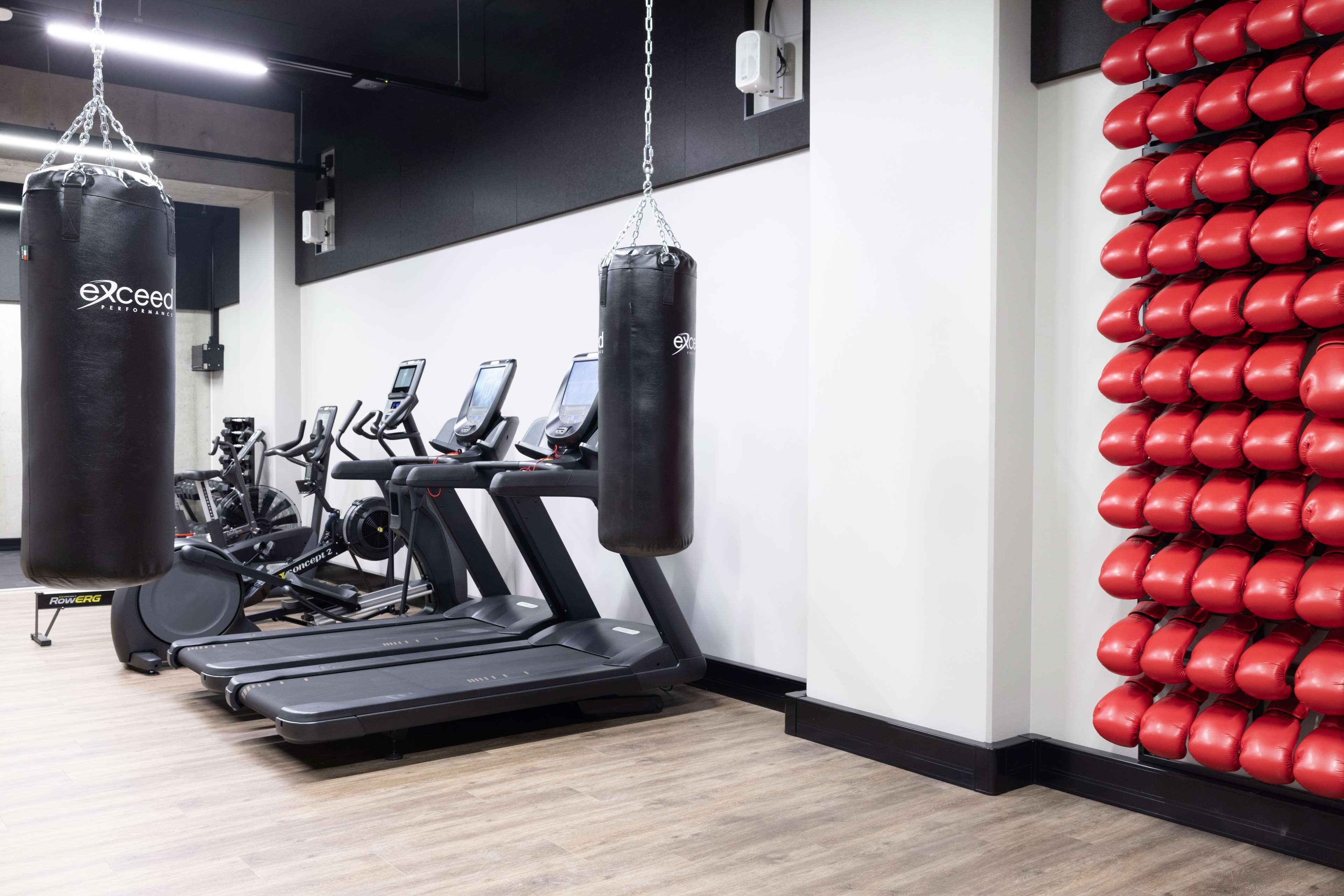 Un gimnasio con cintas de correr, un saco de boxeo y una pared de mancuernas rojas.