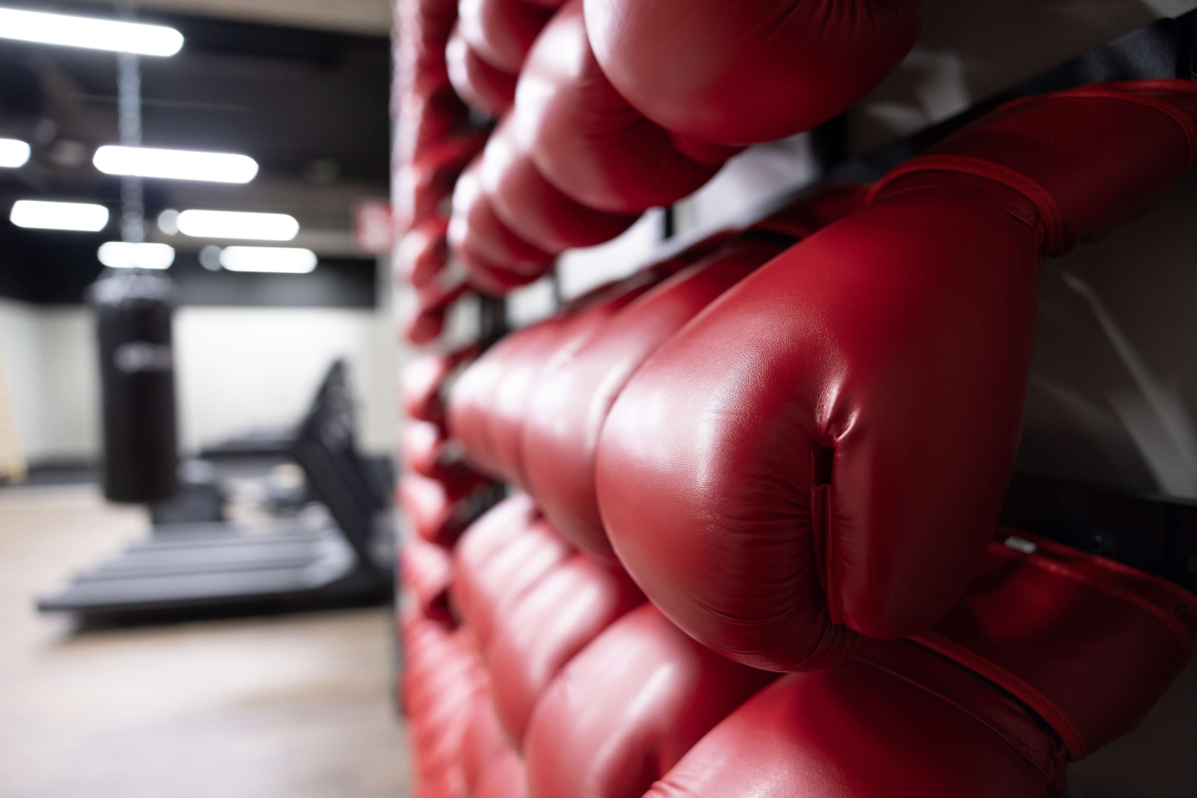 Vários luvas de boxe vermelhas penduradas numa parede em uma academia.