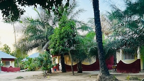 Exterior - Shudyma (Bignona)