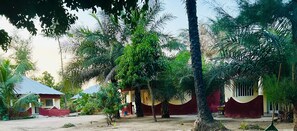 Exterior - Shudyma (Bignona)