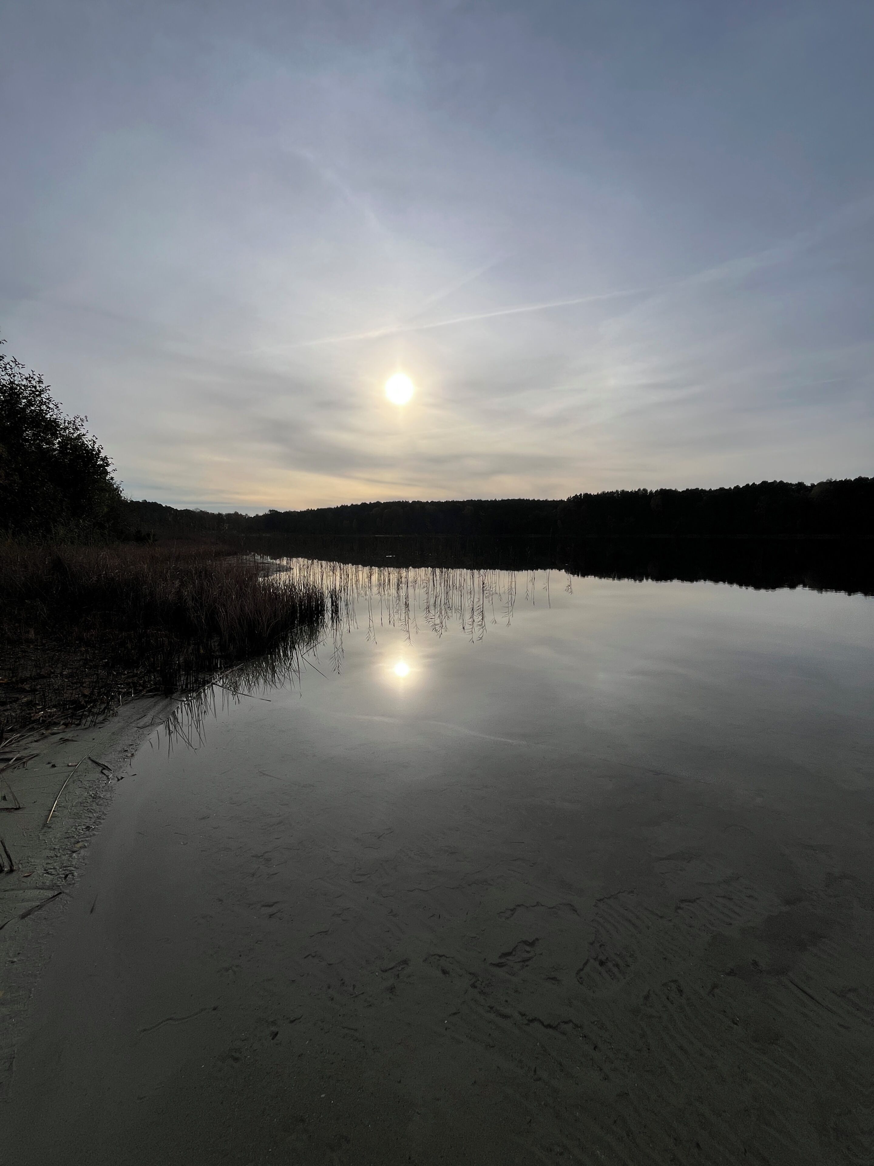 Lake view