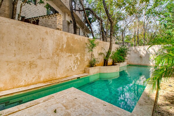 Relax by the serene pool surrounded by lush greenery and shaded by trees.