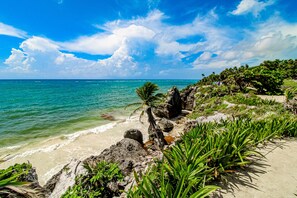 Enjoy breathtaking ocean views and serene beach walks amidst lush greenery and rocky outcrops.