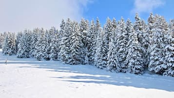 Sneeuw- en skisporten