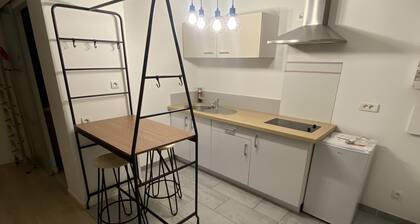 Nice studio close to the Halles de Pau and the fair!