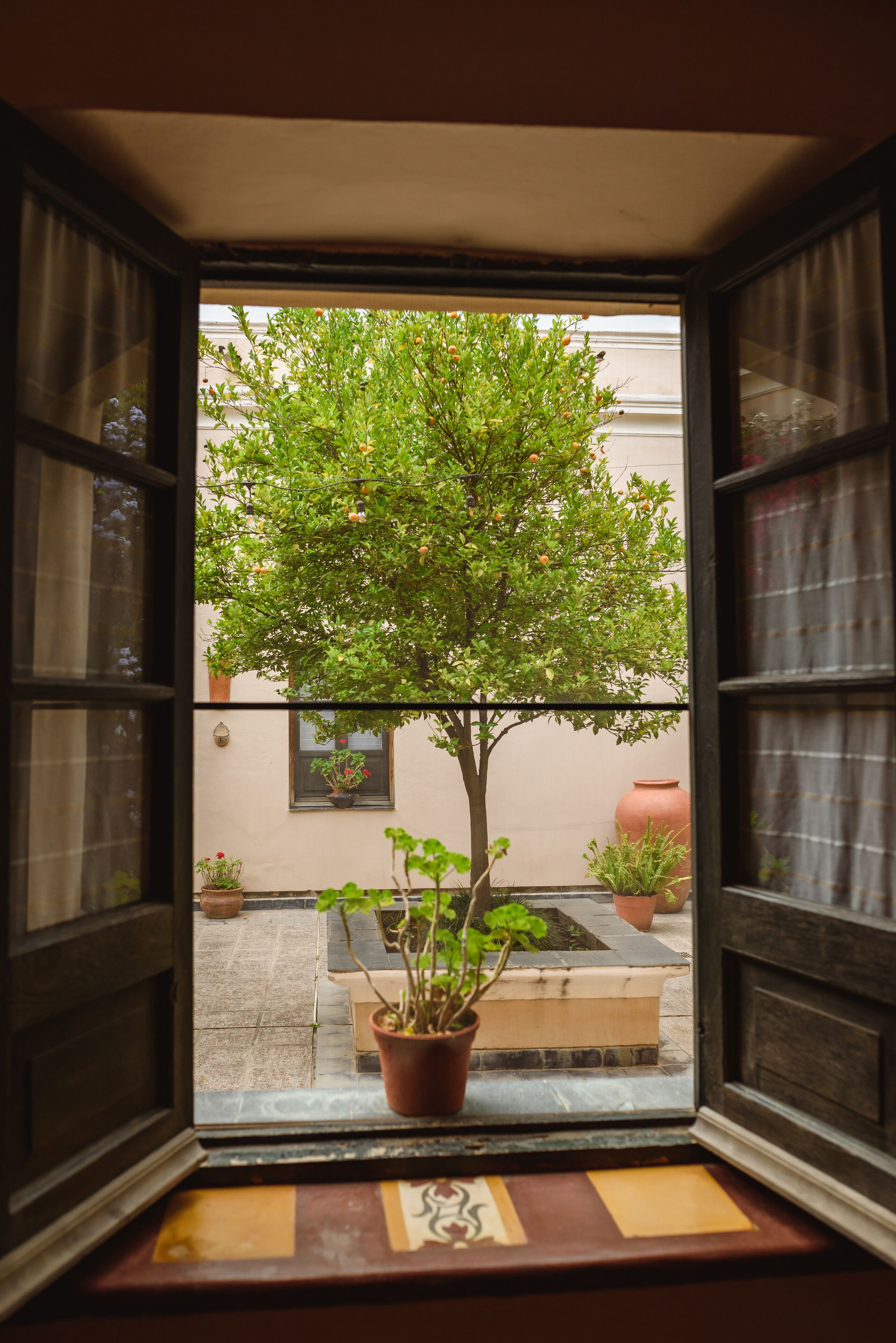 Une fenêtre ouverte donnant sur un arbre et des plantes en pot à l’extérieur.