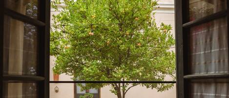 Une fenêtre ouverte donnant sur un arbre et des plantes en pot à l’extérieur.
