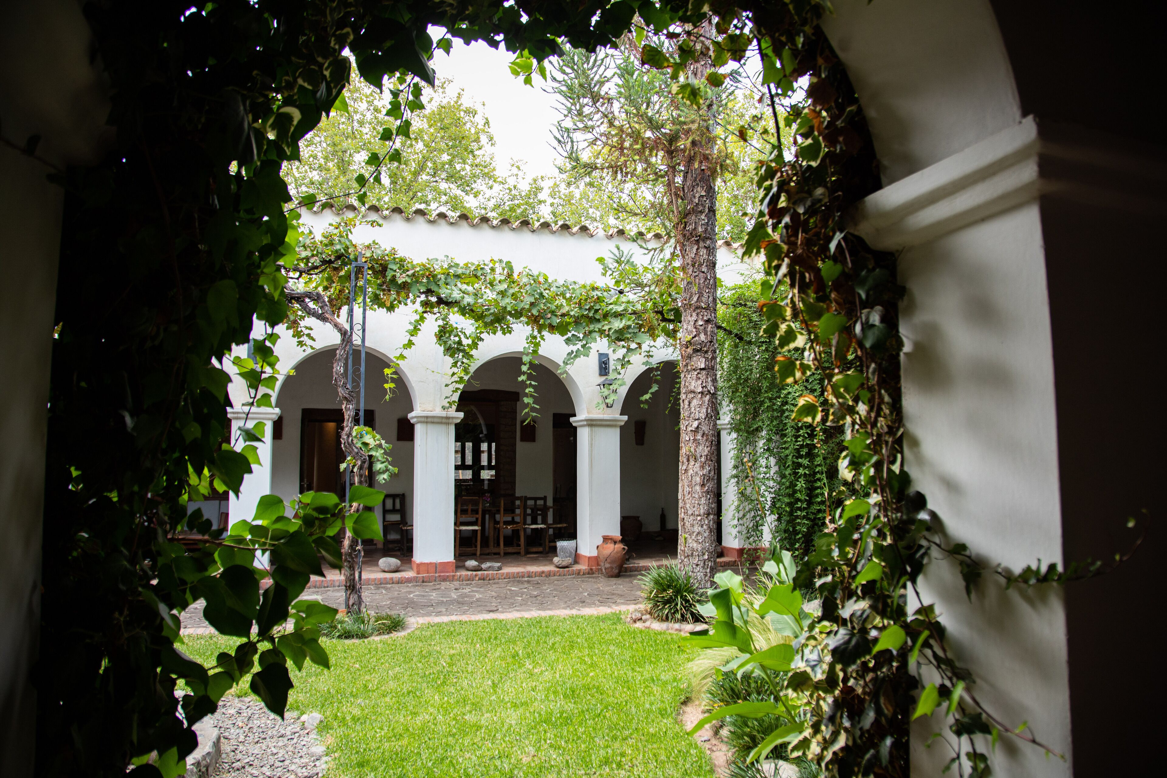 A courtyard with a white building featuring arches and columns, surrounded by greenery and a paved walkway.
