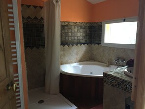 Shower, jetted bath, hair dryer - Lourmarin Luberon villa with pool (Cadenet)