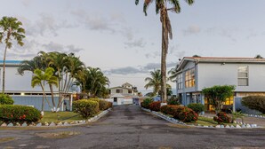 Een woonstraat met huizen, palmbomen en een heldere lucht.