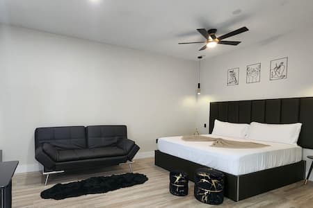 Tampa Apartment